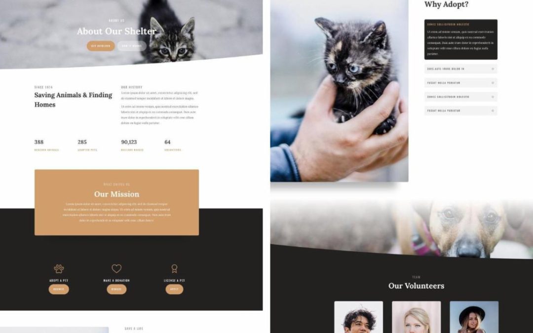ET – Animal Shelter About Page