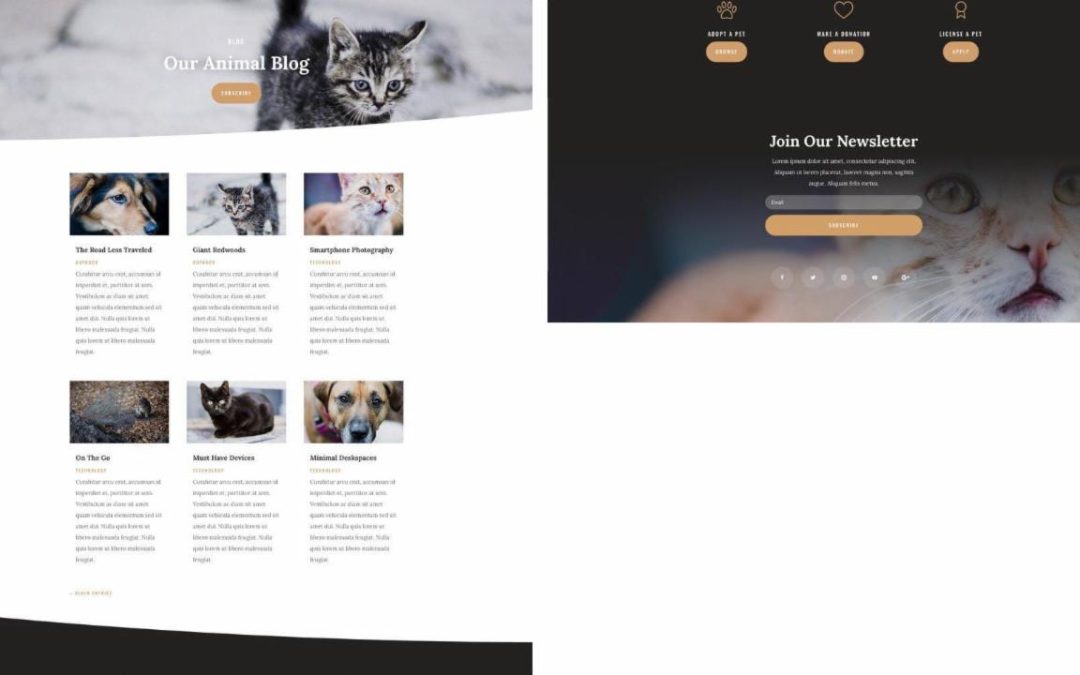 ET – Animal Shelter Blog Page
