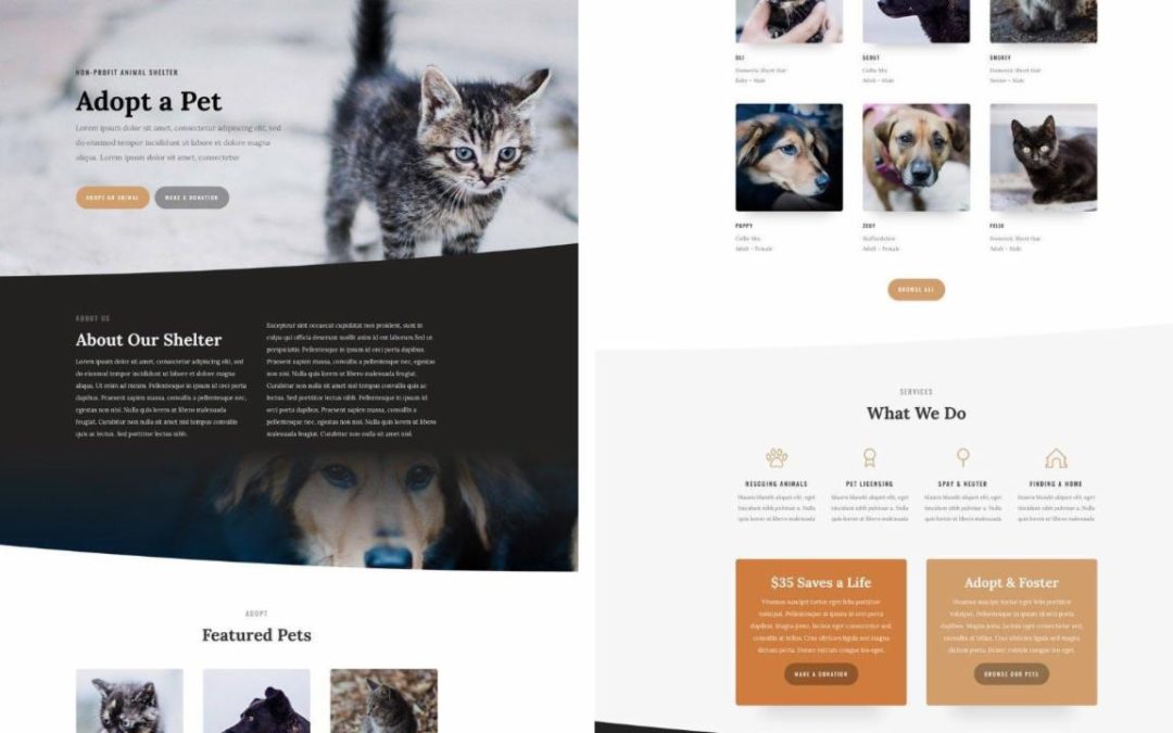 ET – Animal Shelter Home Page
