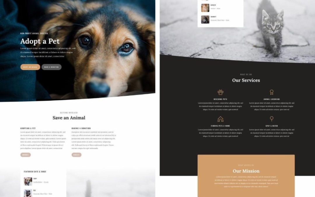 ET – Animal Shelter Landing Page