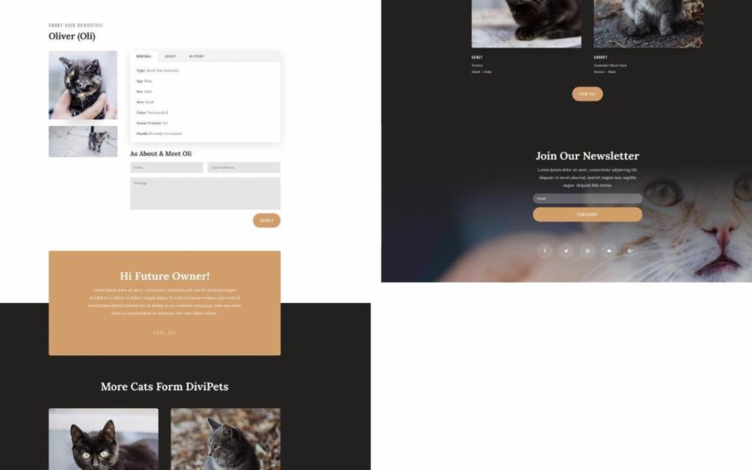 ET – Animal Shelter Listing Page
