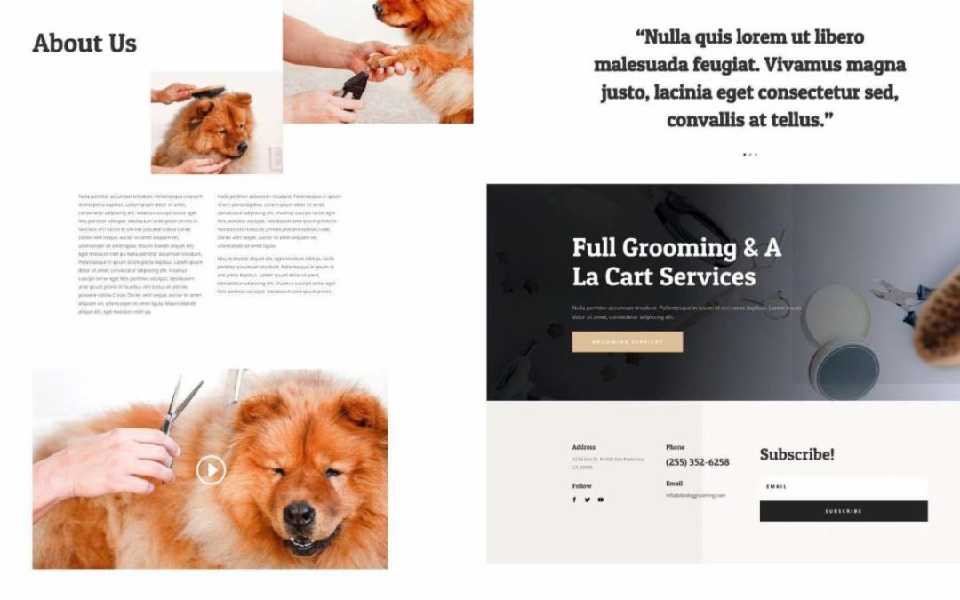 ET – Dog Grooming About Page