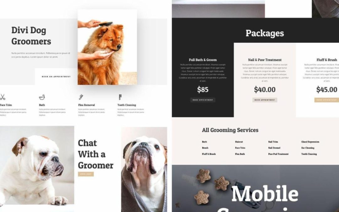 ET – Dog Grooming Landing Page
