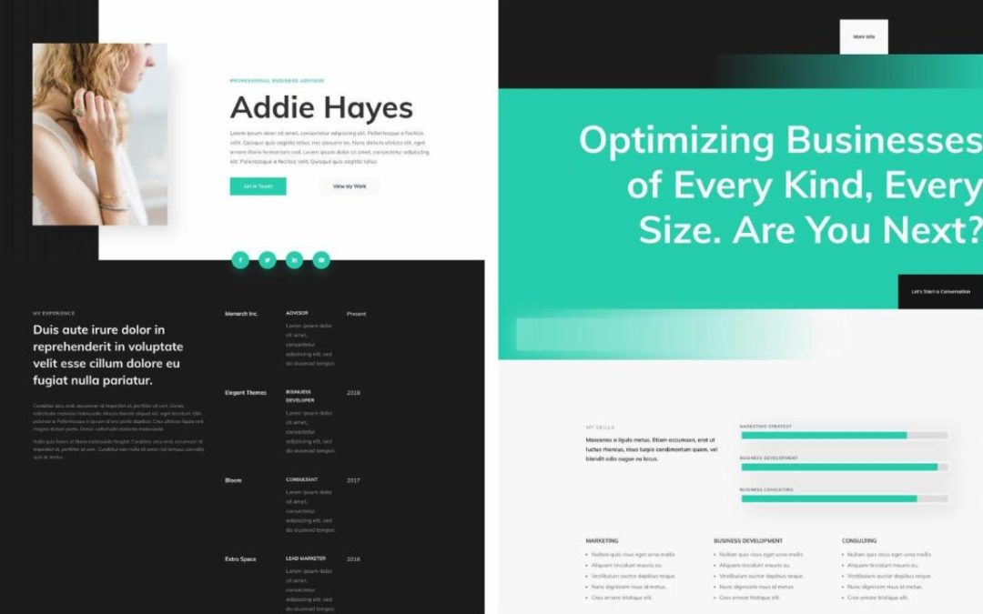 ET – Professional CV Home Page