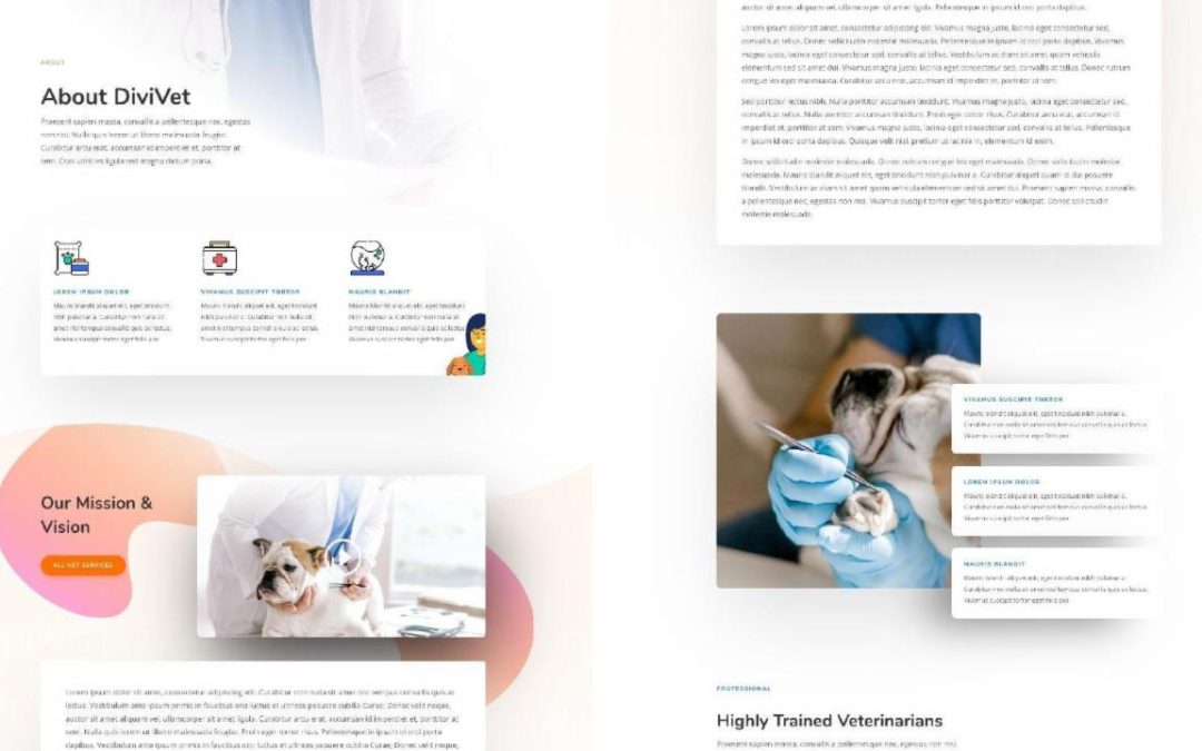 ET – Veterinarian About Page