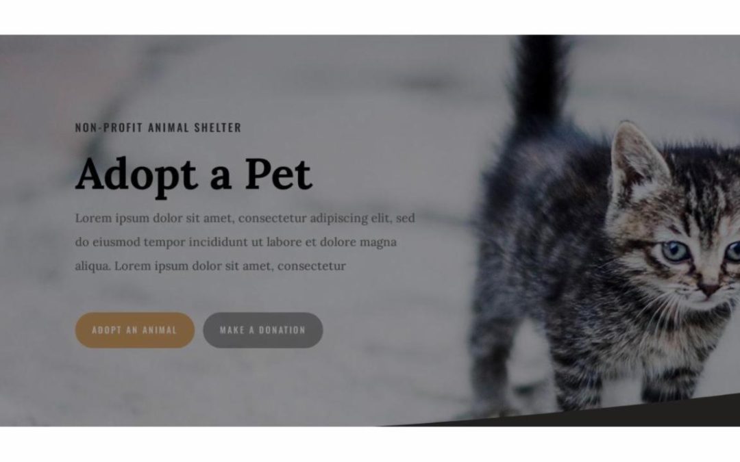 ET – Animal Shelter Home Page – Header