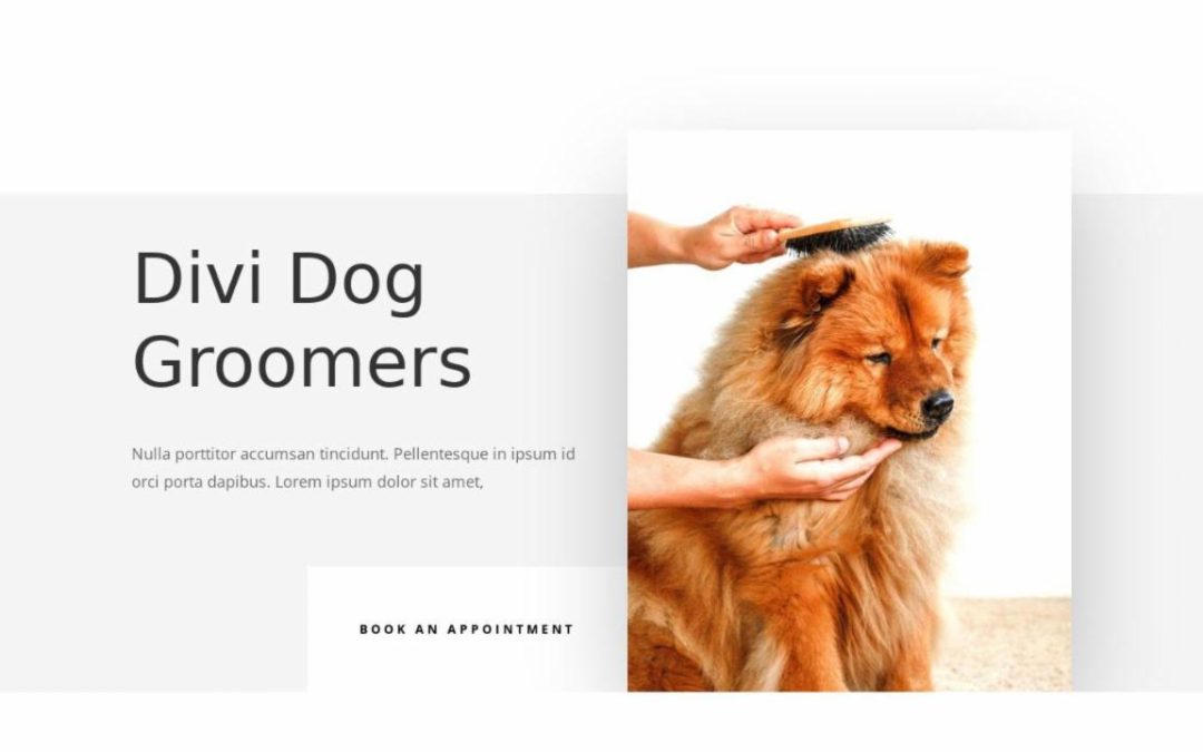 ET – Dog Grooming Landing Page – Header