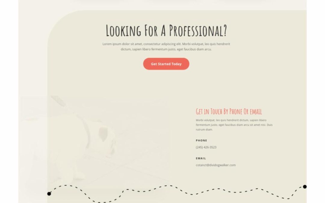 ET – Dog Walker Home Page – Footer