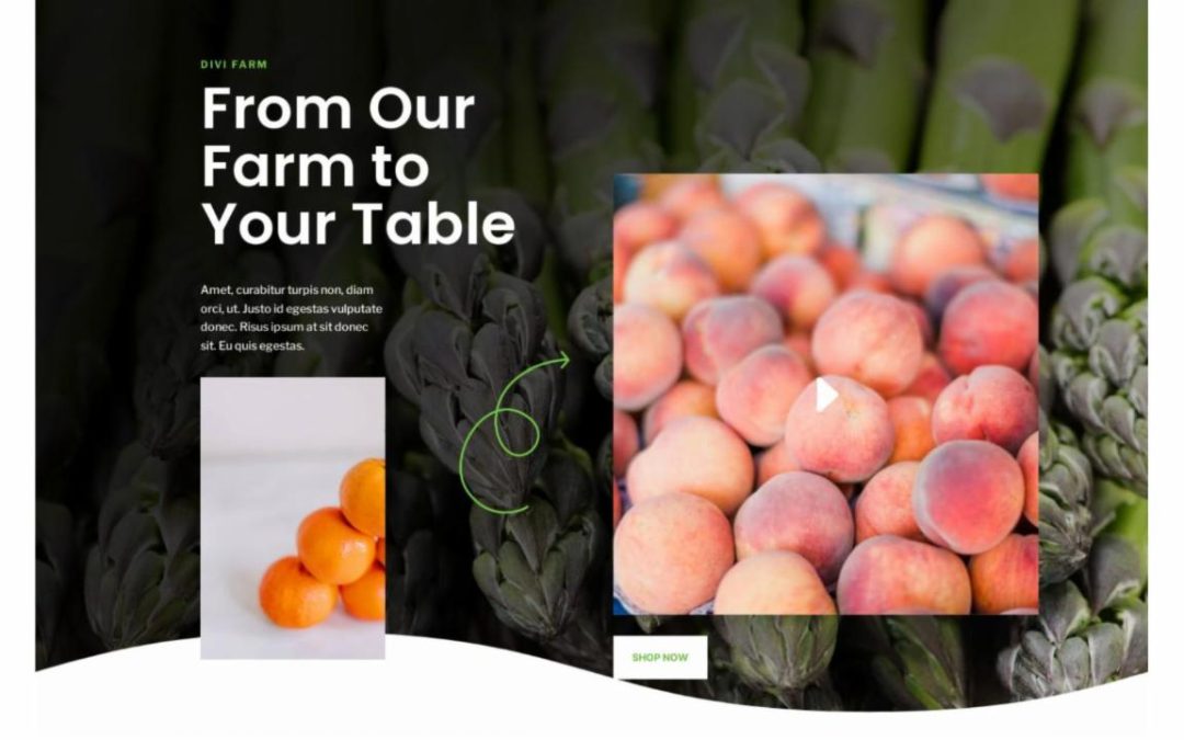 ET – Farm to Table Landing Page – Header