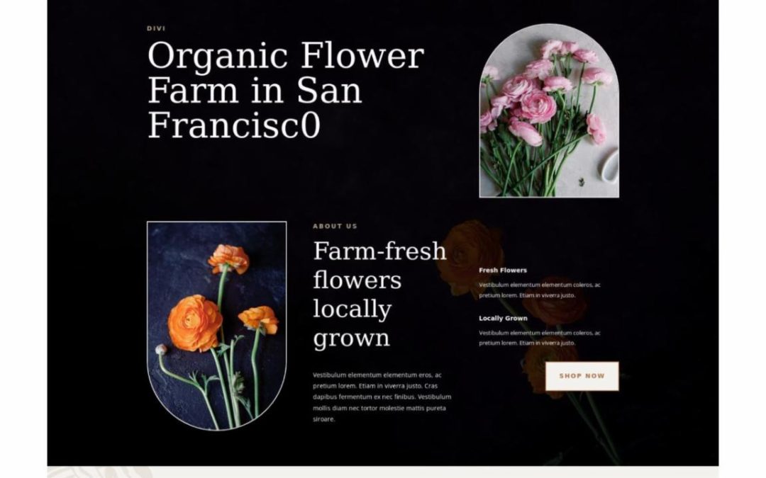 ET – Flower Farm Home Page – Header