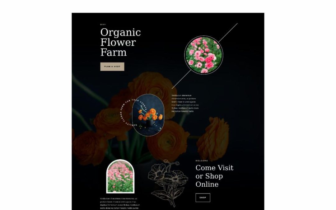 ET – Flower Farm Landing Page – Header