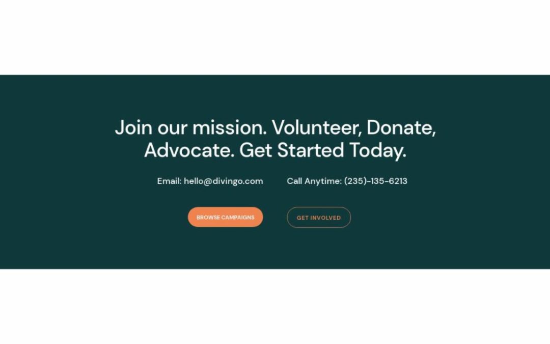ET – NGO Home Page – Footer