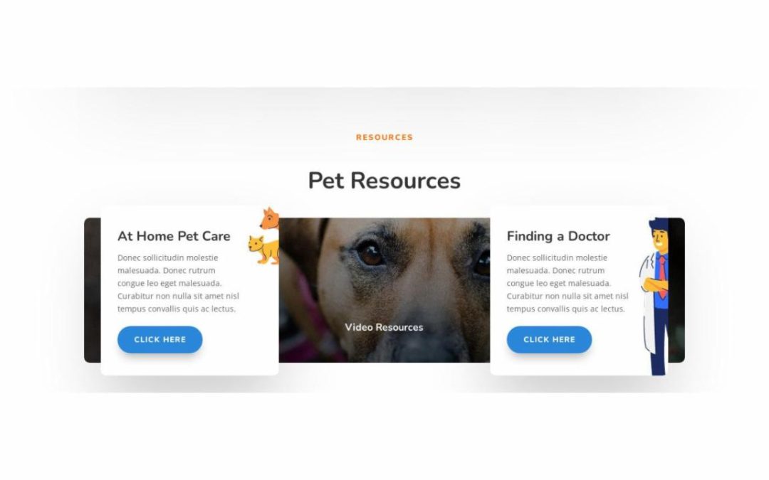 ET – Veterinarian Home Page – Footer