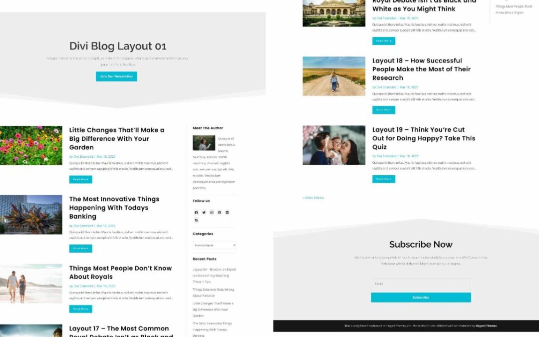 D+ Divi Blog Layout 01