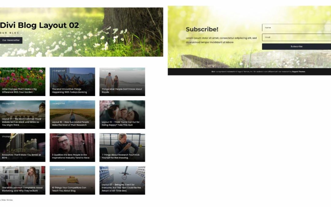 D+ Divi Blog Layout 02