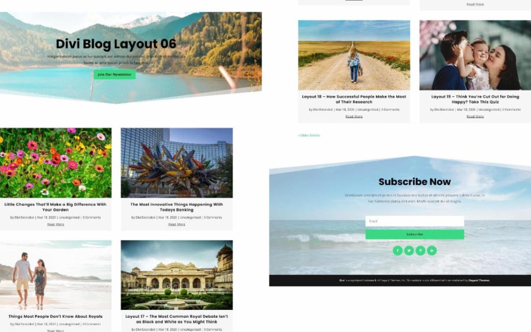 D+ Divi Blog Layout 06