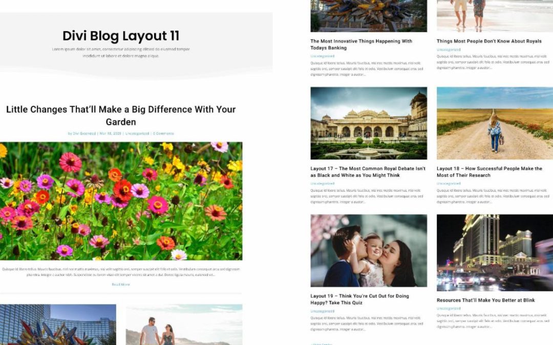 D+ Divi Blog Layout 11