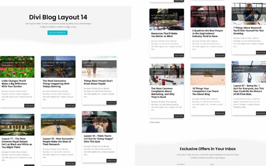 D+ Divi Blog Layout 14