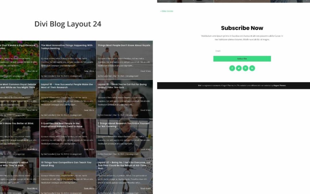 D+ Divi Blog Layout 24