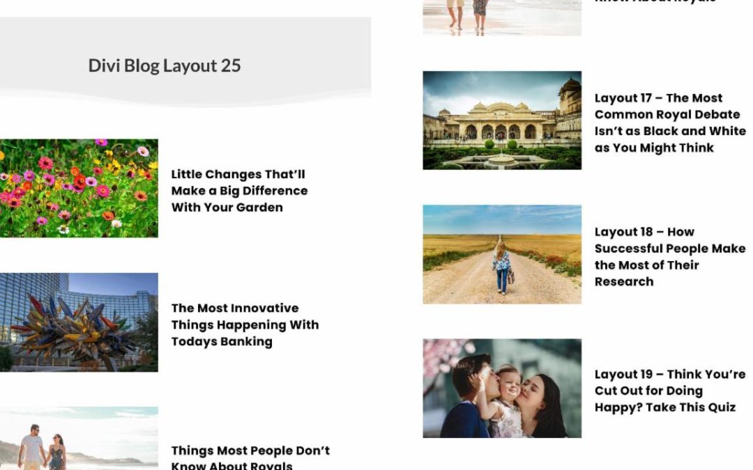 D+ Divi Blog Layout 25