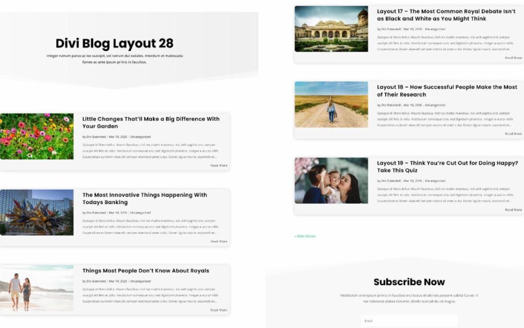 D+ Divi Blog Layout 28