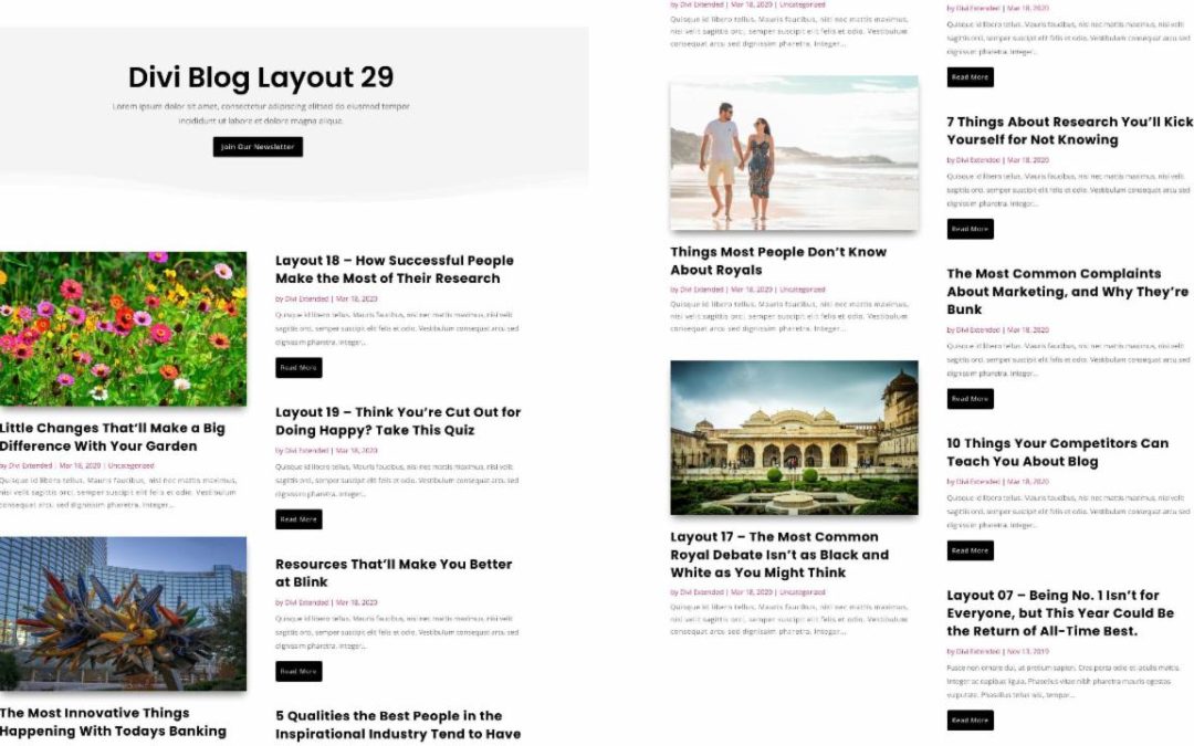 D+ Divi Blog Layout 29