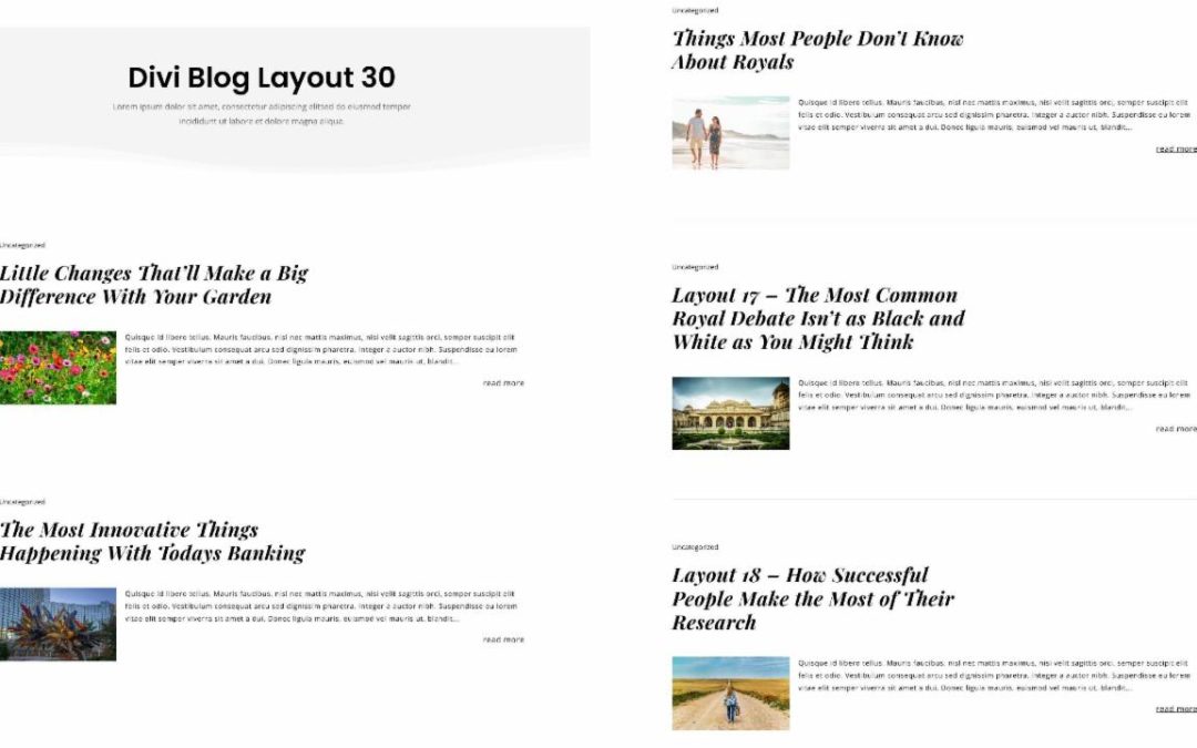 D+ Divi Blog Layout 30