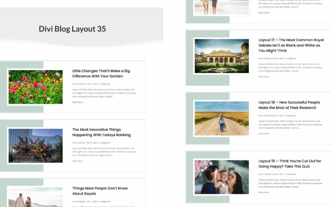 D+ Divi Blog Layout 35
