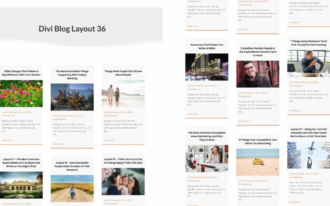 D+ Divi Blog Layout 36