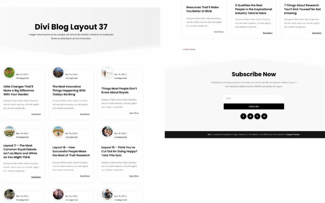 D+ Divi Blog Layout 37