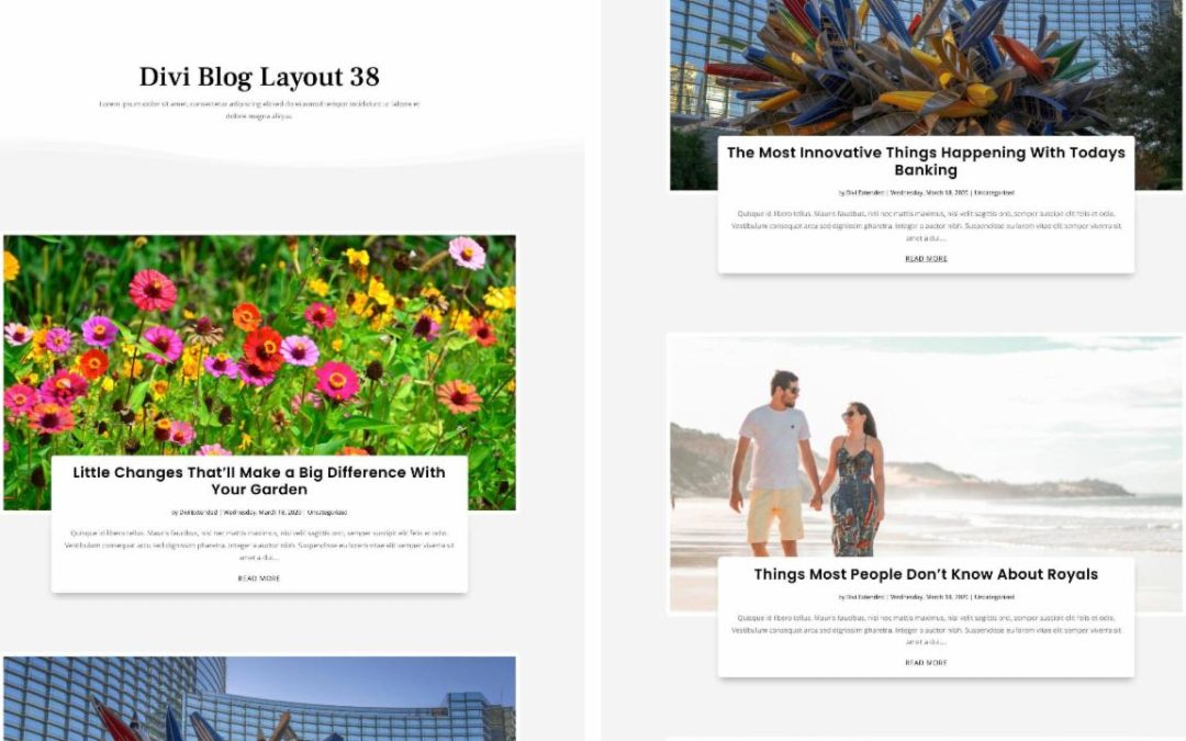 D+ Divi Blog Layout 38