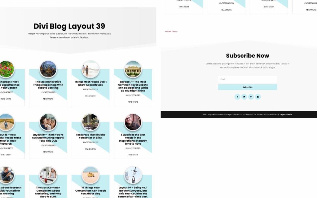 D+ Divi Blog Layout 39