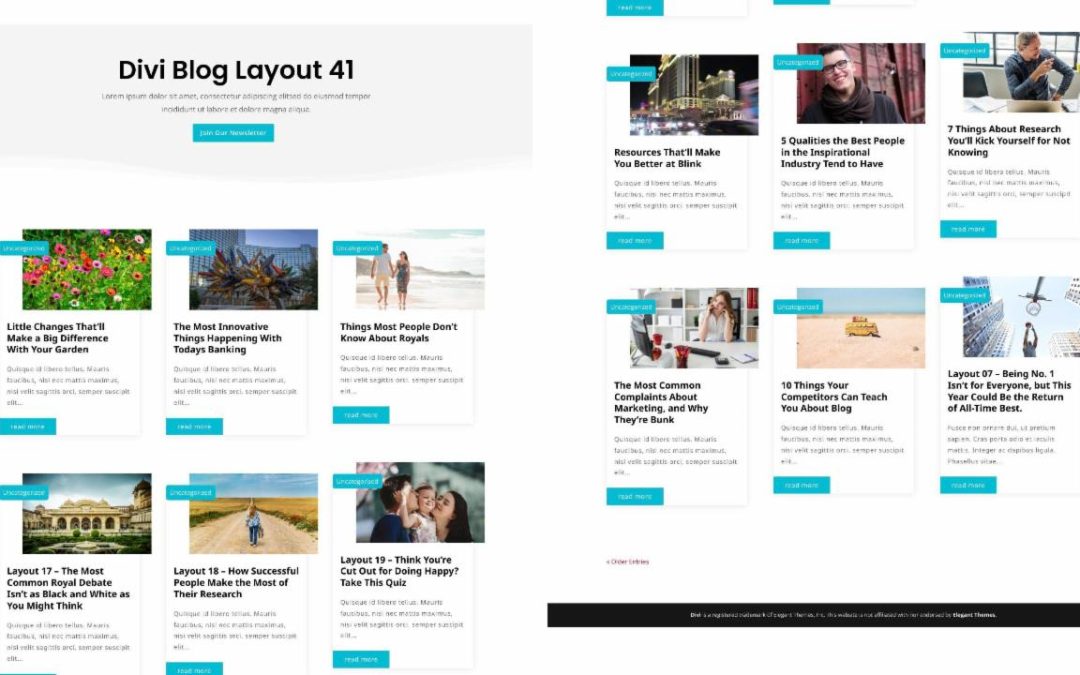 D+ Divi Blog Layout 41