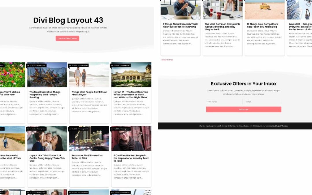 D+ Divi Blog Layout 43