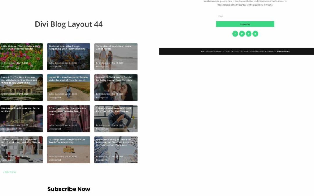 D+ Divi Blog Layout 44