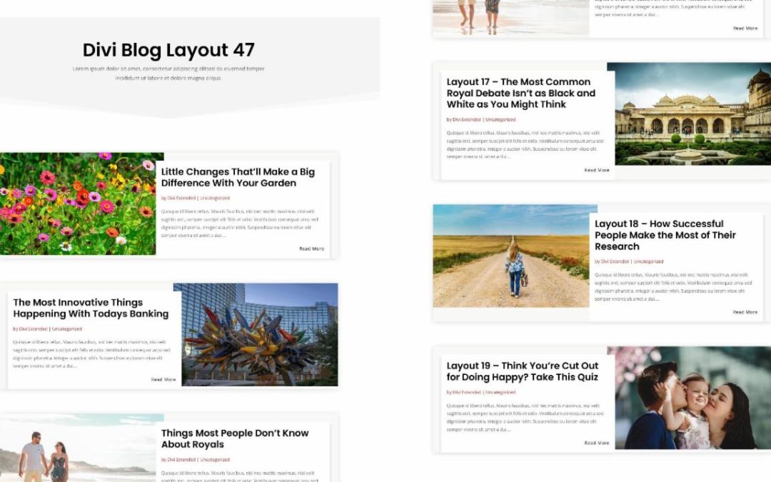 D+ Divi Blog Layout 47