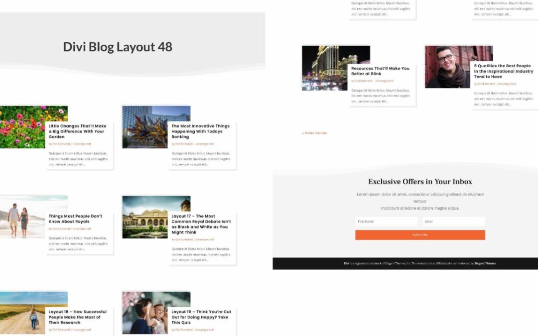 D+ Divi Blog Layout 48