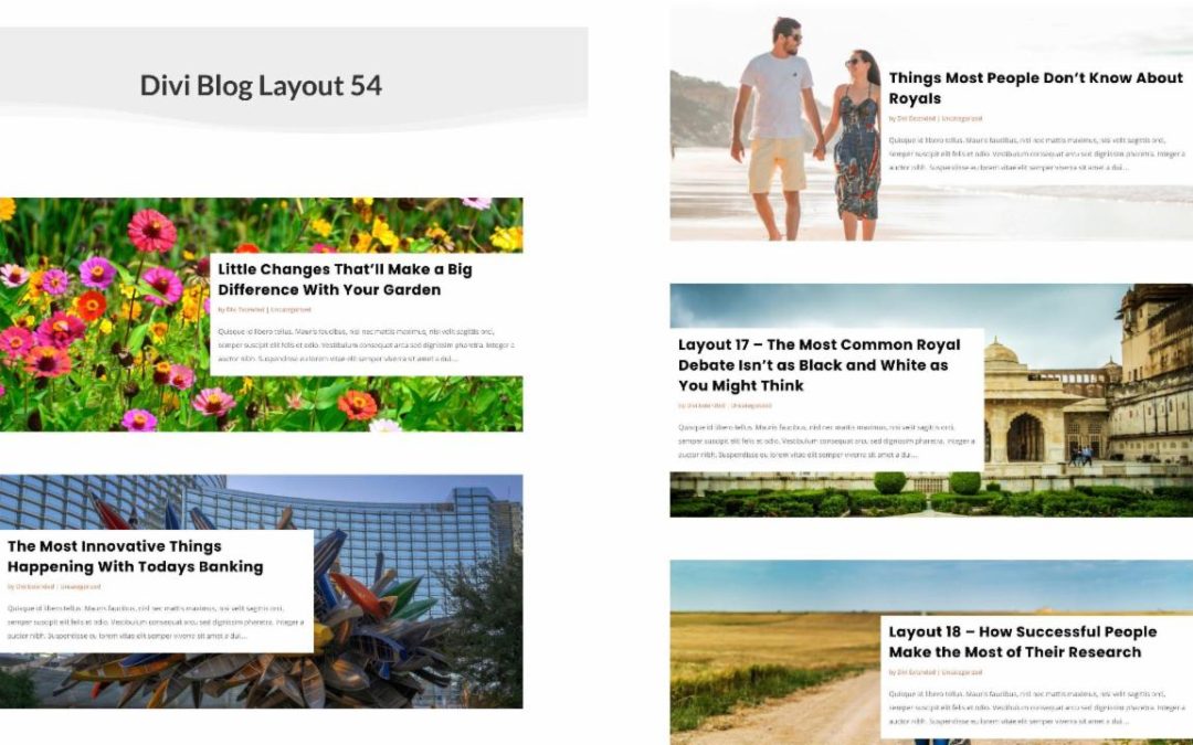 D+ Divi Blog Layout 54