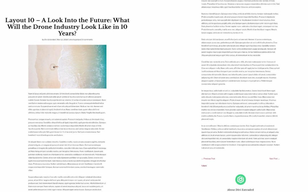 D+ Divi Post Layout 10