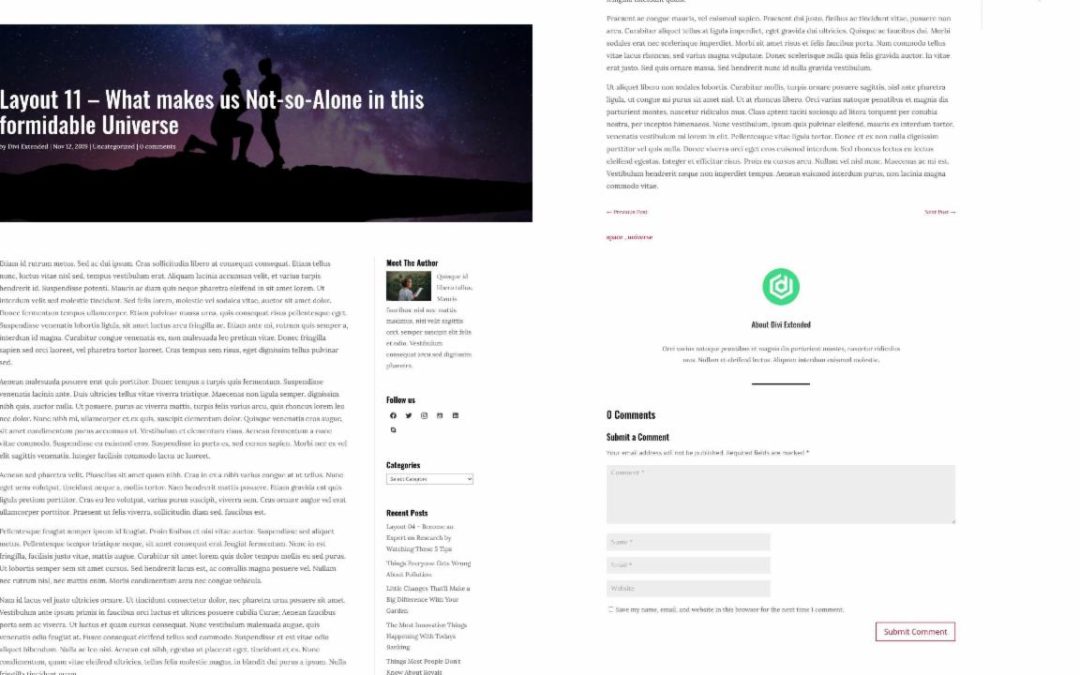 D+ Divi Post Layout 11