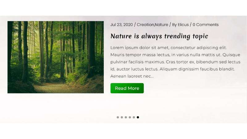 D+ Blog Slider 1x