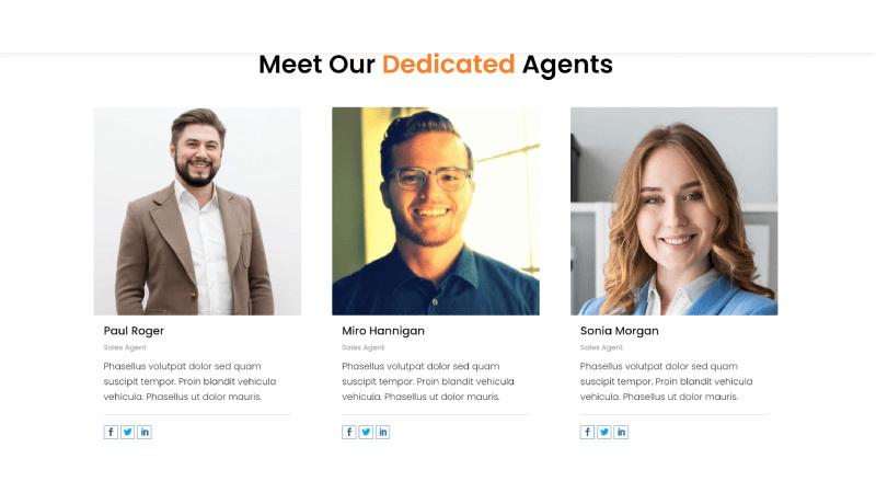 D+ Team Slider – Meet Our Dedicated Agents