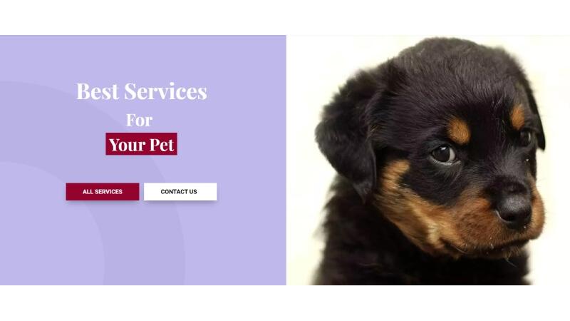 D+ Hero – Pet Care