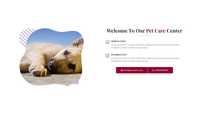 D+ Welcome Pet Center