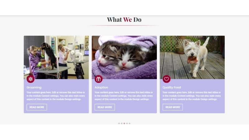 D+ Image Carousel – What We Do