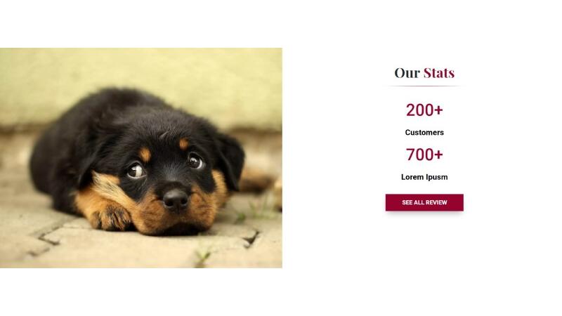 D+ Our Stats – Pet Care