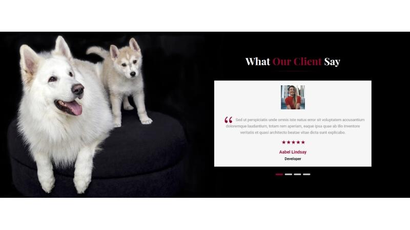 D+ Testimonial Slider – Pet Care