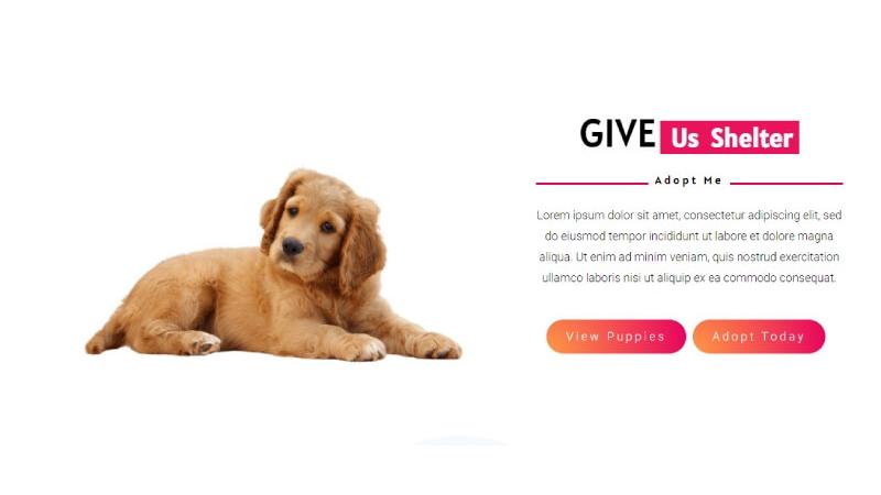 D+ Hero – Adopt Dog
