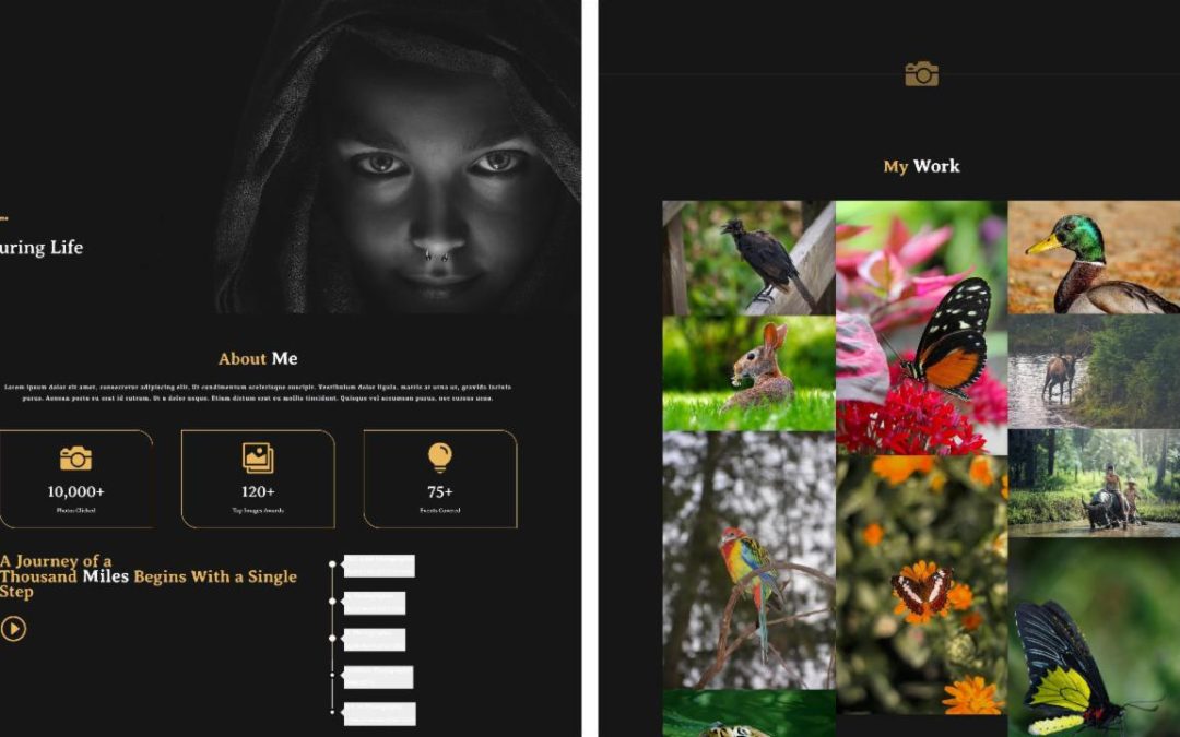 Divi Plus – Photography