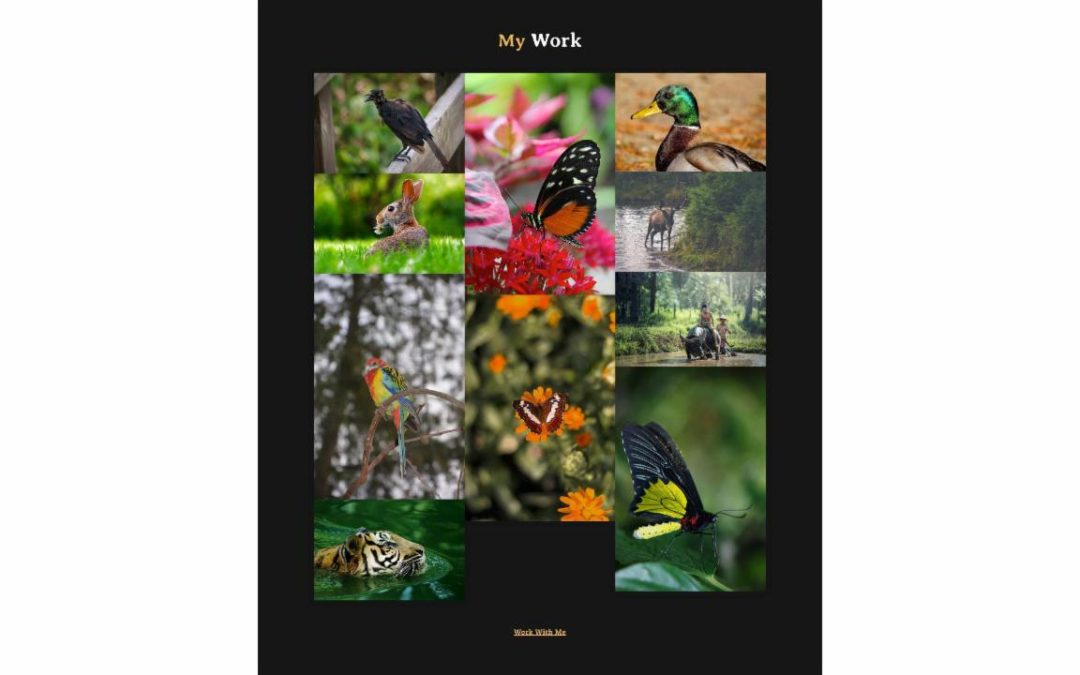 Divi Plus – Photography #3